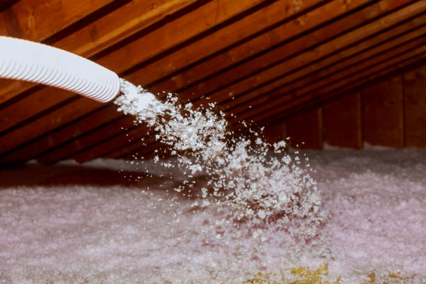 Best Affordable Insulation Services  in Reese, MI