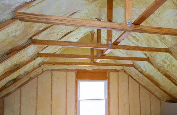 Attic Insulation Near Me in Reese, MI