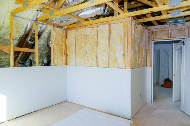 Best Insulation Inspection Services  in Reese, MI