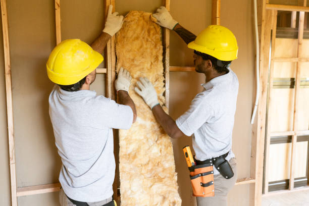 Best Local Insulation Services  in Reese, MI