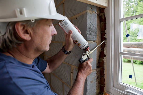 Best Professional Insulation Contractor  in Reese, MI